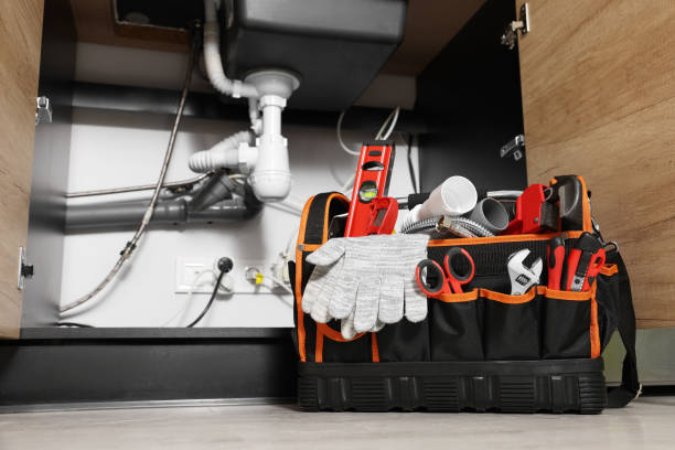 Best Residential Plumbing Services  in Chieand, FL